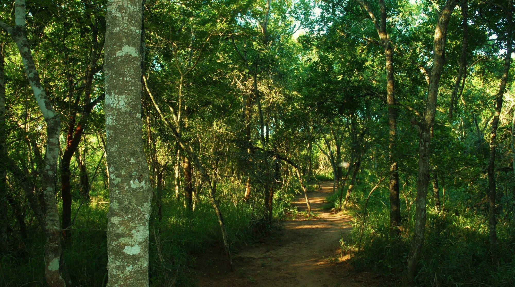Umkhumbi Lodge Hluhluwe Zewnętrze zdjęcie